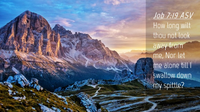 Picture 04 - Job 7:19 ASV Desktop Wallpaper - How long wilt thou not look away from me, Nor let - Desktop Bible Verse Wallpaper