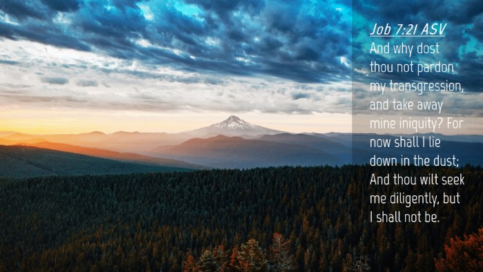 Picture 04 - Job 7:21 ASV Desktop Wallpaper - And why dost thou not pardon my transgression, - Desktop Bible Verse Wallpaper