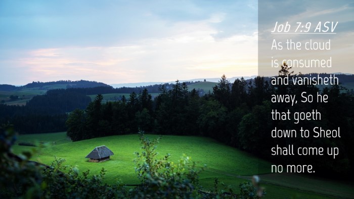 Picture 04 - Job 7:9 ASV Desktop Wallpaper - As the cloud is consumed and vanisheth away, So - Desktop Bible Verse Wallpaper