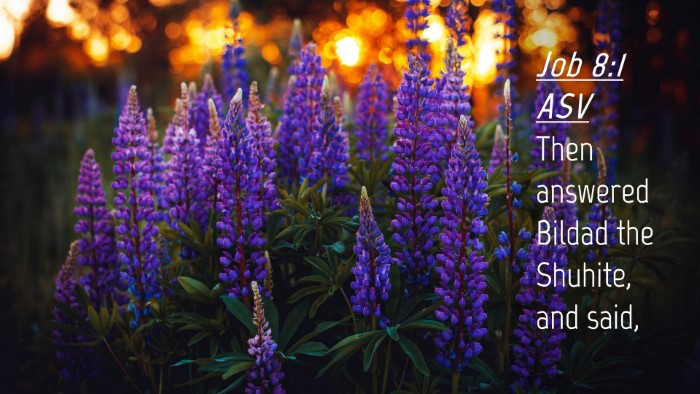 Picture 04 - Job 8:1 ASV Desktop Wallpaper - Then answered Bildad the Shuhite, and - Desktop Bible Verse Wallpaper
