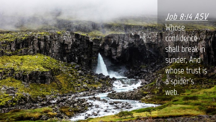 Picture 04 - Job 8:14 ASV Desktop Wallpaper - Whose confidence shall break in sunder, And whose - Desktop Bible Verse Wallpaper