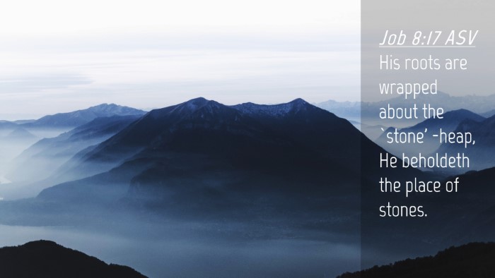 Picture 04 - Job 8:17 ASV Desktop Wallpaper - His roots are wrapped about the `stone' -heap, He - Desktop Bible Verse Wallpaper
