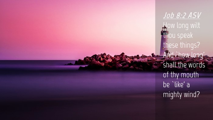 Picture 04 - Job 8:2 ASV Desktop Wallpaper - How long wilt thou speak these things? And `how - Desktop Bible Verse Wallpaper