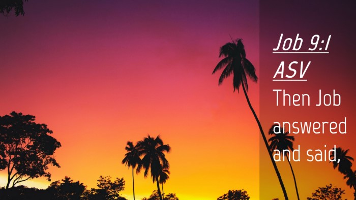 Picture 04 - Job 9:1 ASV Desktop Wallpaper - Then Job answered and - Desktop Bible Verse Wallpaper
