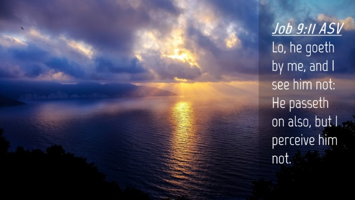 Picture 04 - Job 9:11 ASV Desktop Wallpaper - Lo, he goeth by me, and I see him not: He passeth - Desktop Bible Verse Wallpaper