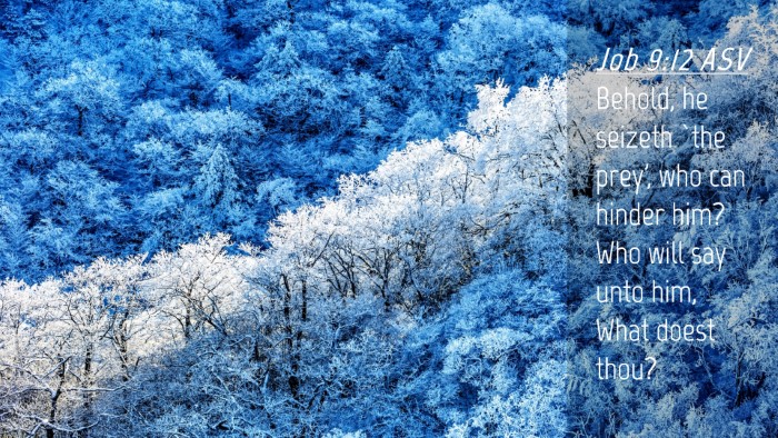 Picture 04 - Job 9:12 ASV Desktop Wallpaper - Behold, he seizeth `the prey', who can hinder - Desktop Bible Verse Wallpaper