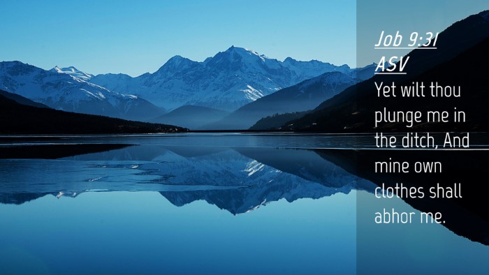 Picture 04 - Job 9:31 ASV Desktop Wallpaper - Yet wilt thou plunge me in the ditch, And mine - Desktop Bible Verse Wallpaper