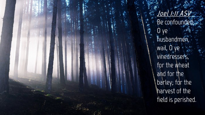 Picture 04 - Joel 1:11 ASV Desktop Wallpaper - Be confounded, O ye husbandmen, wail, O ye - Desktop Bible Verse Wallpaper