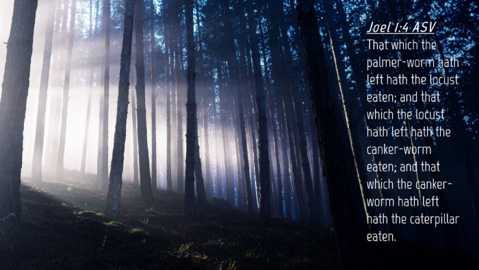 Picture 04 - Joel 1:4 ASV Desktop Wallpaper - That which the palmer-worm hath left hath the - Desktop Bible Verse Wallpaper
