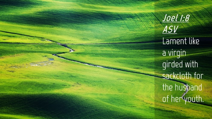 Picture 04 - Joel 1:8 ASV Desktop Wallpaper - Lament like a virgin girded with sackcloth for - Desktop Bible Verse Wallpaper