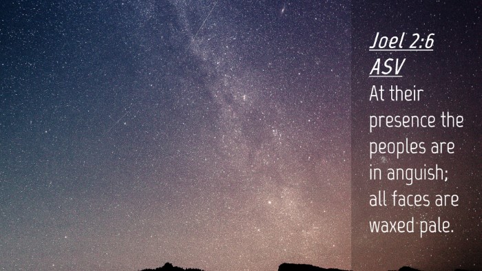 Picture 04 - Joel 2:6 ASV Desktop Wallpaper - At their presence the peoples are in anguish; all - Desktop Bible Verse Wallpaper