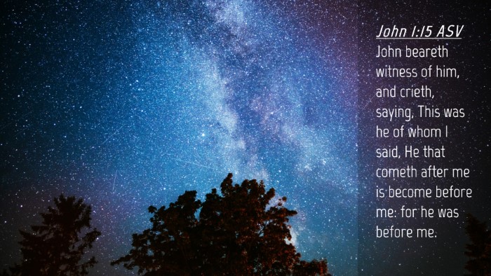 Picture 04 - John 1:15 ASV Desktop Wallpaper - John beareth witness of him, and crieth, saying, - Desktop Bible Verse Wallpaper