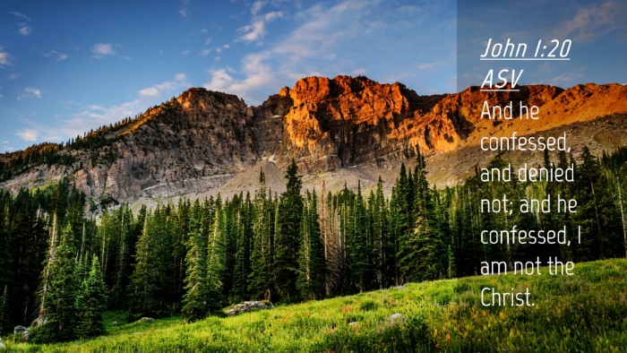 Picture 04 - John 1:20 ASV Desktop Wallpaper - And he confessed, and denied not; and he - Desktop Bible Verse Wallpaper