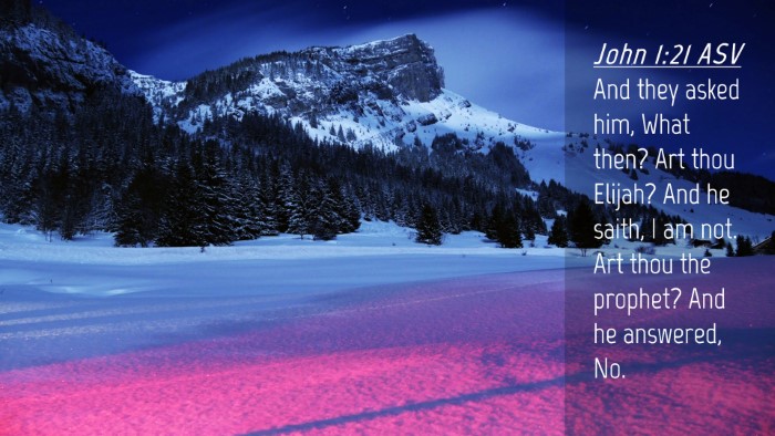 Picture 04 - John 1:21 ASV Desktop Wallpaper - And they asked him, What then? Art thou Elijah? - Desktop Bible Verse Wallpaper