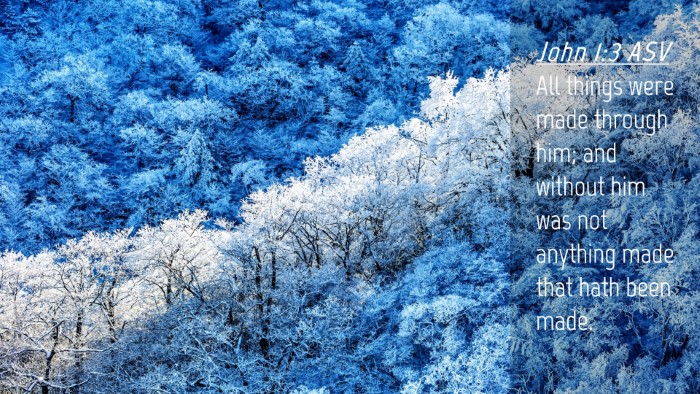 Picture 04 - John 1:3 ASV Desktop Wallpaper - All things were made through him; and without him - Desktop Bible Verse Wallpaper