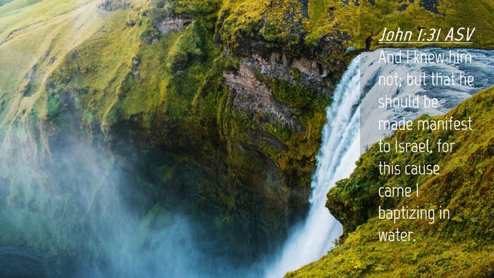 Picture 04 - John 1:31 ASV Desktop Wallpaper - And I knew him not; but that he should be made - Desktop Bible Verse Wallpaper