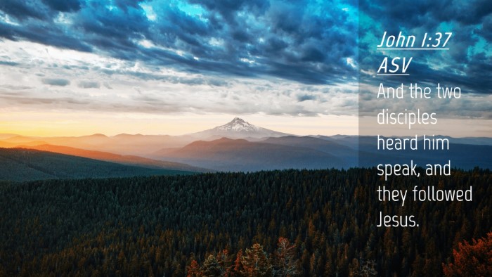 Picture 04 - John 1:37 ASV Desktop Wallpaper - And the two disciples heard him speak, and they - Desktop Bible Verse Wallpaper