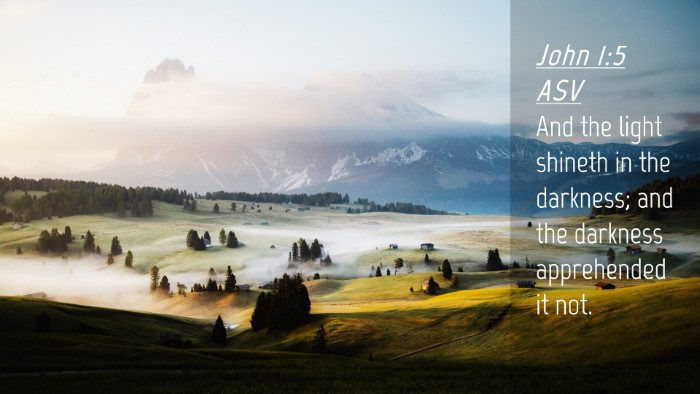 Picture 04 - John 1:5 ASV Desktop Wallpaper - And the light shineth in the darkness; and the - Desktop Bible Verse Wallpaper