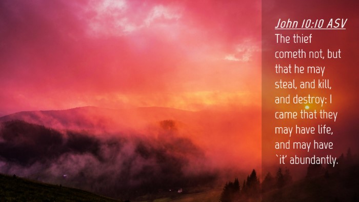 Picture 04 - John 10:10 ASV Desktop Wallpaper - The thief cometh not, but that he may steal, and - Desktop Bible Verse Wallpaper