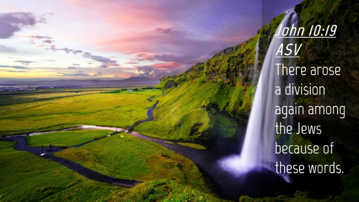 Picture 04 - John 10:19 ASV Desktop Wallpaper - There arose a division again among the Jews - Desktop Bible Verse Wallpaper