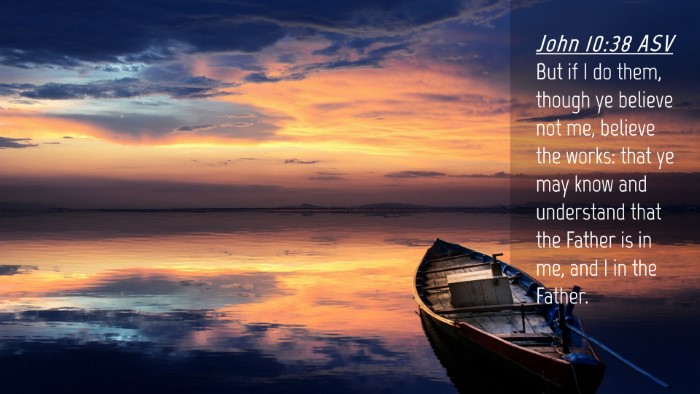 Picture 04 - John 10:38 ASV Desktop Wallpaper - But if I do them, though ye believe not me, - Desktop Bible Verse Wallpaper