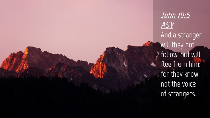 Picture 04 - John 10:5 ASV Desktop Wallpaper - And a stranger will they not follow, but will - Desktop Bible Verse Wallpaper
