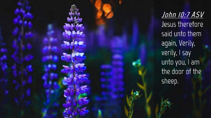 Picture 04 - John 10:7 ASV Desktop Wallpaper - Jesus therefore said unto them again, Verily, - Desktop Bible Verse Wallpaper