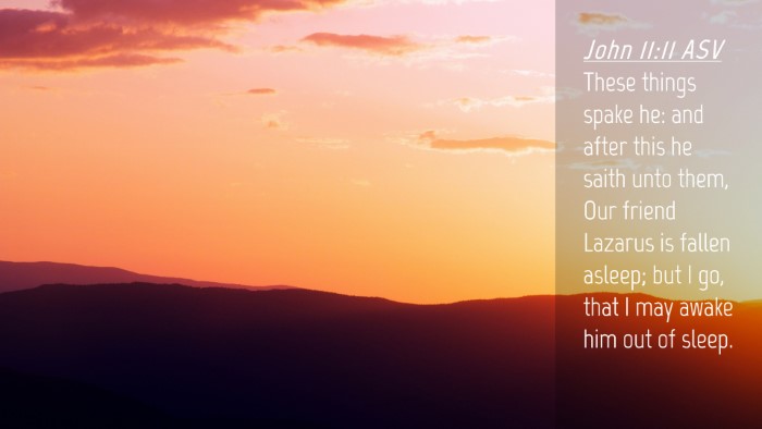 Picture 04 - John 11:11 ASV Desktop Wallpaper - These things spake he: and after this he saith - Desktop Bible Verse Wallpaper