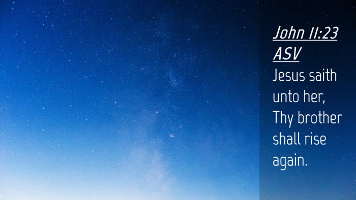 Picture 04 - John 11:23 ASV Desktop Wallpaper - Jesus saith unto her, Thy brother shall rise - Desktop Bible Verse Wallpaper