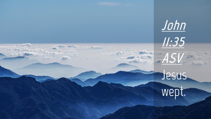 Picture 04 - John 11:35 ASV Desktop Wallpaper - Jesus - Desktop Bible Verse Wallpaper