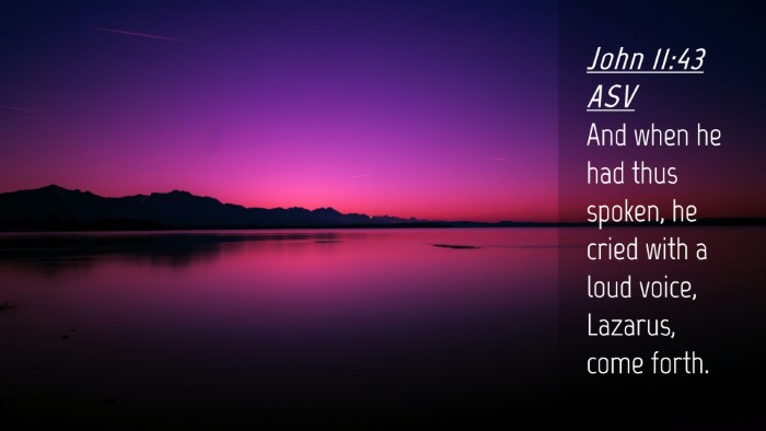 Picture 04 - John 11:43 ASV Desktop Wallpaper - And when he had thus spoken, he cried with a loud - Desktop Bible Verse Wallpaper