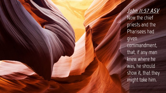 Picture 04 - John 11:57 ASV Desktop Wallpaper - Now the chief priests and the Pharisees had given - Desktop Bible Verse Wallpaper