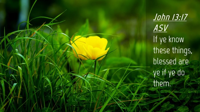 Picture 04 - John 13:17 ASV Desktop Wallpaper - If ye know these things, blessed are ye if ye do - Desktop Bible Verse Wallpaper