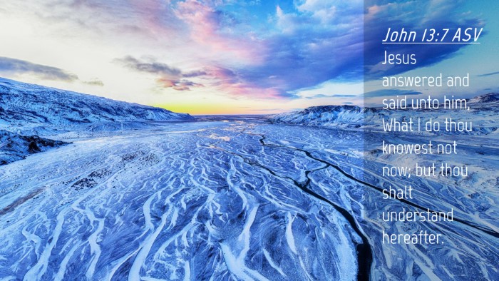 Picture 04 - John 13:7 ASV Desktop Wallpaper - Jesus answered and said unto him, What I do thou - Desktop Bible Verse Wallpaper