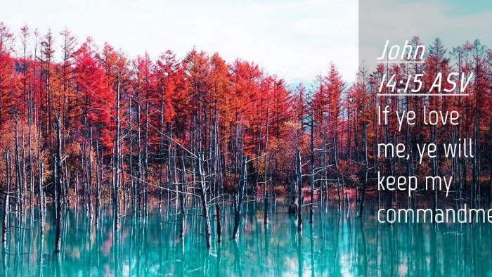 Picture 04 - John 14:15 ASV Desktop Wallpaper - If ye love me, ye will keep my - Desktop Bible Verse Wallpaper