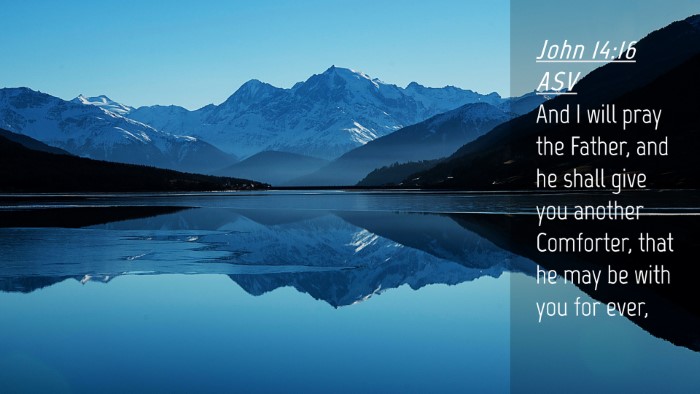 Picture 04 - John 14:16 ASV Desktop Wallpaper - And I will pray the Father, and he shall give you - Desktop Bible Verse Wallpaper