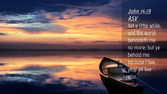 Picture 04 - John 14:19 ASV Desktop Wallpaper - Yet a little while, and the world beholdeth me no - Desktop Bible Verse Wallpaper