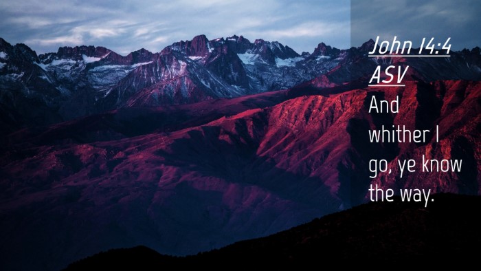 Picture 04 - John 14:4 ASV Desktop Wallpaper - And whither I go, ye know the - Desktop Bible Verse Wallpaper
