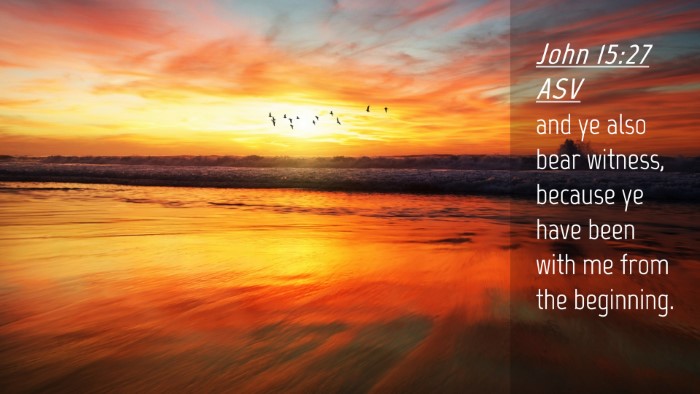 Picture 04 - John 15:27 ASV Desktop Wallpaper - and ye also bear witness, because ye have been - Desktop Bible Verse Wallpaper