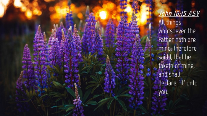 Picture 04 - John 16:15 ASV Desktop Wallpaper - All things whatsoever the Father hath are mine: - Desktop Bible Verse Wallpaper