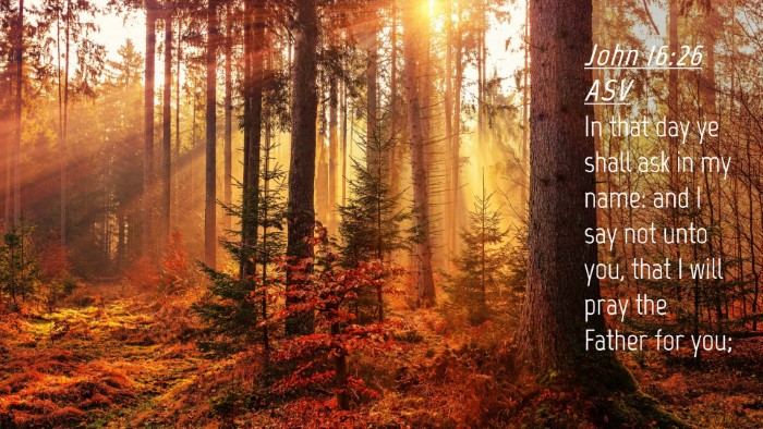 Picture 04 - John 16:26 ASV Desktop Wallpaper - In that day ye shall ask in my name: and I say - Desktop Bible Verse Wallpaper