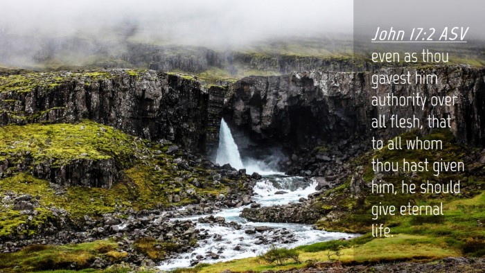 Picture 04 - John 17:2 ASV Desktop Wallpaper - even as thou gavest him authority over all flesh, - Desktop Bible Verse Wallpaper