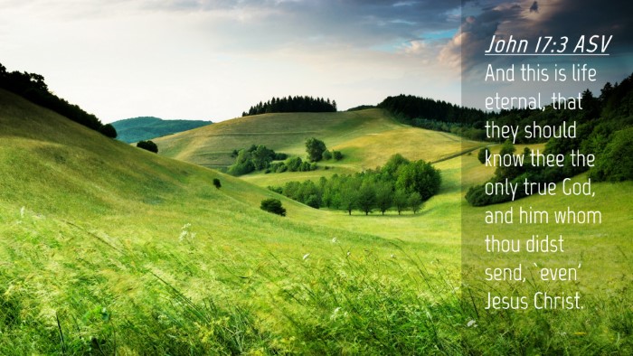 Picture 04 - John 17:3 ASV Desktop Wallpaper - And this is life eternal, that they should know - Desktop Bible Verse Wallpaper