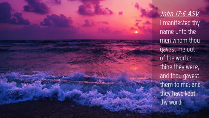 Picture 04 - John 17:6 ASV Desktop Wallpaper - I manifested thy name unto the men whom thou - Desktop Bible Verse Wallpaper