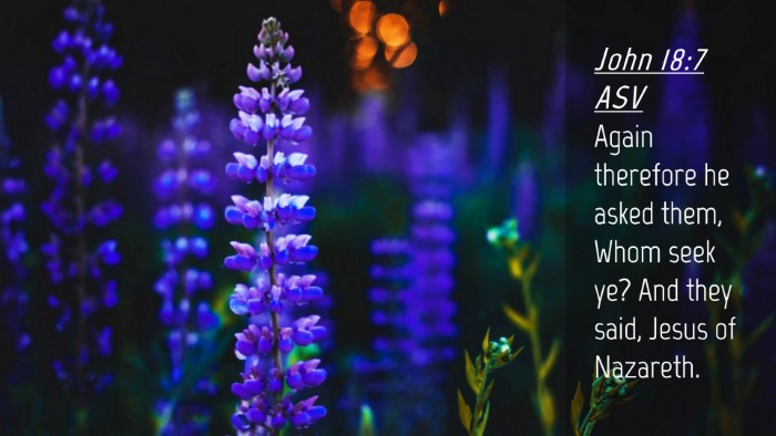 Picture 04 - John 18:7 ASV Desktop Wallpaper - Again therefore he asked them, Whom seek ye? And - Desktop Bible Verse Wallpaper
