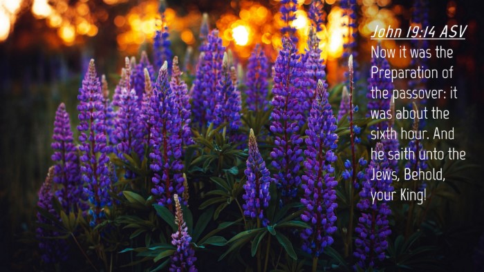 Picture 04 - John 19:14 ASV Desktop Wallpaper - Now it was the Preparation of the passover: it - Desktop Bible Verse Wallpaper