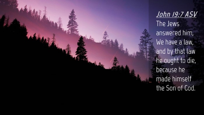 Picture 04 - John 19:7 ASV Desktop Wallpaper - The Jews answered him, We have a law, and by that - Desktop Bible Verse Wallpaper