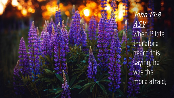 Picture 04 - John 19:8 ASV Desktop Wallpaper - When Pilate therefore heard this saying, he was - Desktop Bible Verse Wallpaper