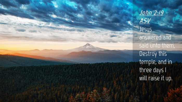 Picture 04 - John 2:19 ASV Desktop Wallpaper - Jesus answered and said unto them, Destroy this - Desktop Bible Verse Wallpaper
