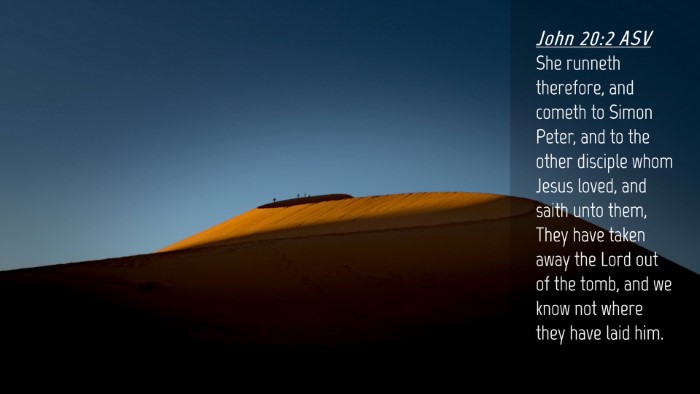 Picture 04 - John 20:2 ASV Desktop Wallpaper - She runneth therefore, and cometh to Simon Peter, - Desktop Bible Verse Wallpaper